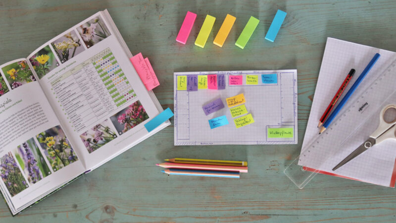 Planung Balkonbepflanzung mit Wildblumen