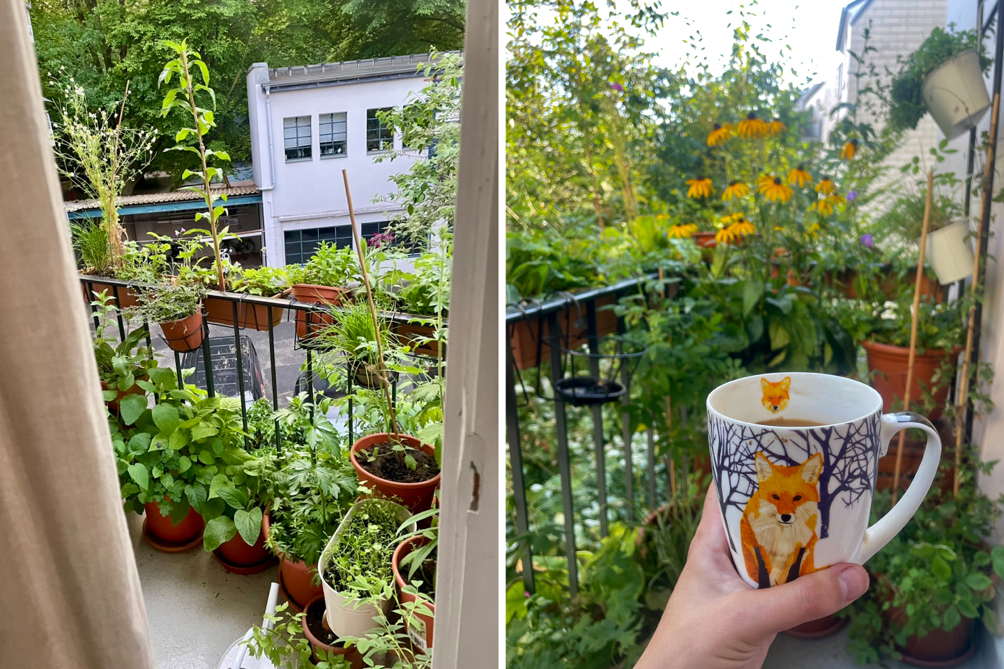 Bild links: Die beste Aussicht ist immer noch die auf einen blühenden Nordbalkon. Bild rechts: Der Morgenkaffee schmeckt besser im Grünen.