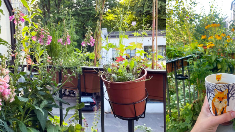 Sommerpanorama Nordbalkon