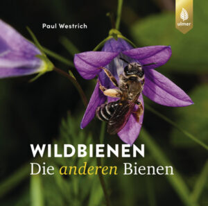 Buchcover, Die anderen Bienen von Paul Westrich, erschienen im Verlag Eugen Ulmer 2024