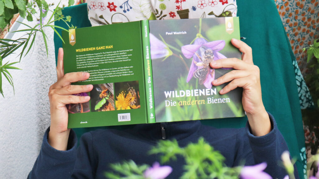 Rezension "Wildbienen – Die anderen Bienen" von Paul Westrich, erschienen im Ulmer Verlag, 2024