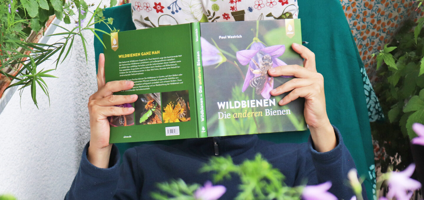 Rezension "Wildbienen – Die anderen Bienen" von Paul Westrich, erschienen im Ulmer Verlag, 2024