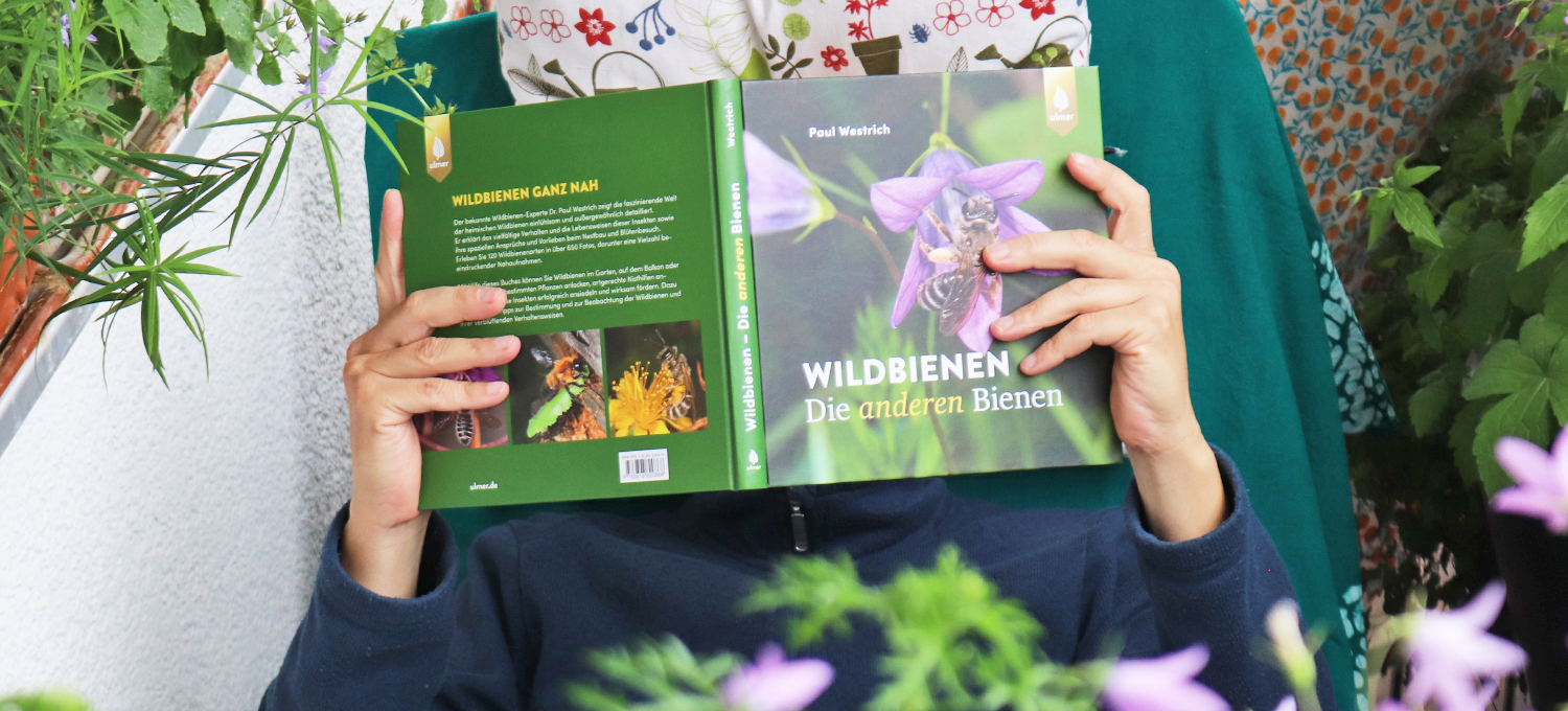 Rezension "Wildbienen – Die anderen Bienen" von Paul Westrich, erschienen im Ulmer Verlag, 2024